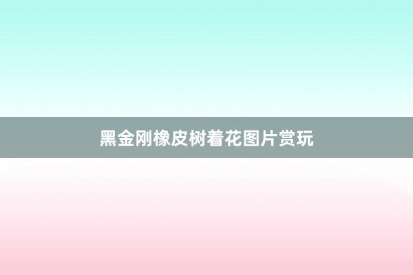 黑金刚橡皮树着花图片赏玩