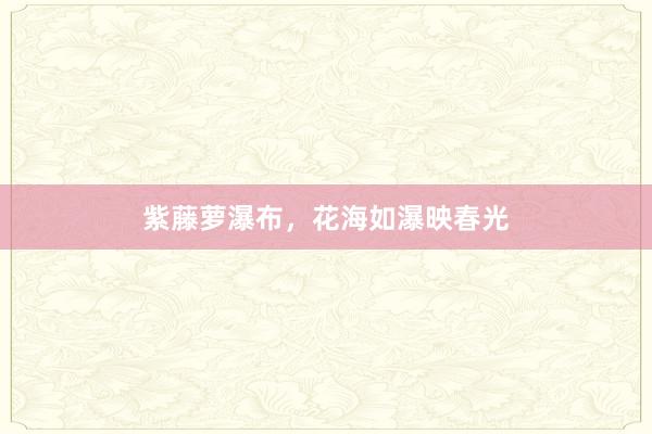 紫藤萝瀑布，花海如瀑映春光
